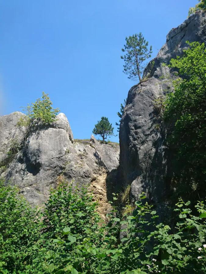 Patchou'S Cabane Villa Couvin Exteriör bild